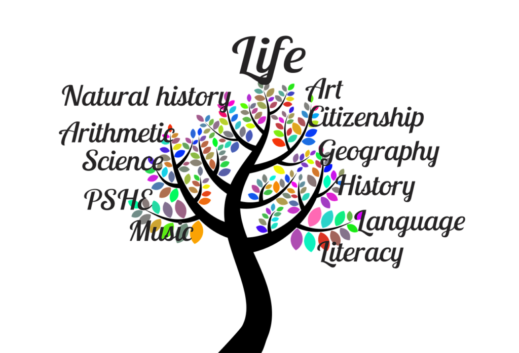 school, tree, tree of life-1061372.jpg