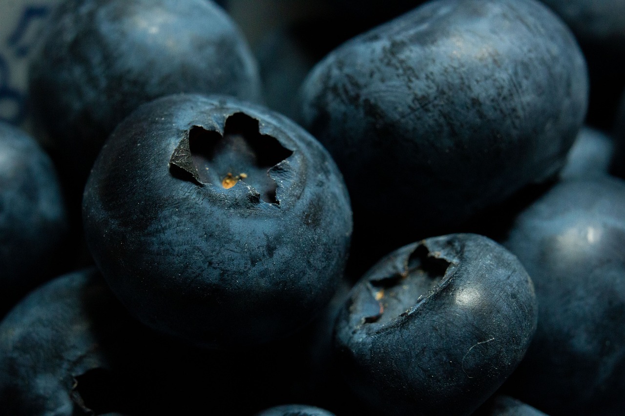 blueberries, bilberry, macro, fruit, blueberries, blueberries, blueberries, blueberries, blueberries, bilberry, bilberry, bilberry, bilberry, fruit, fruit, fruit, fruit-5243712.jpg